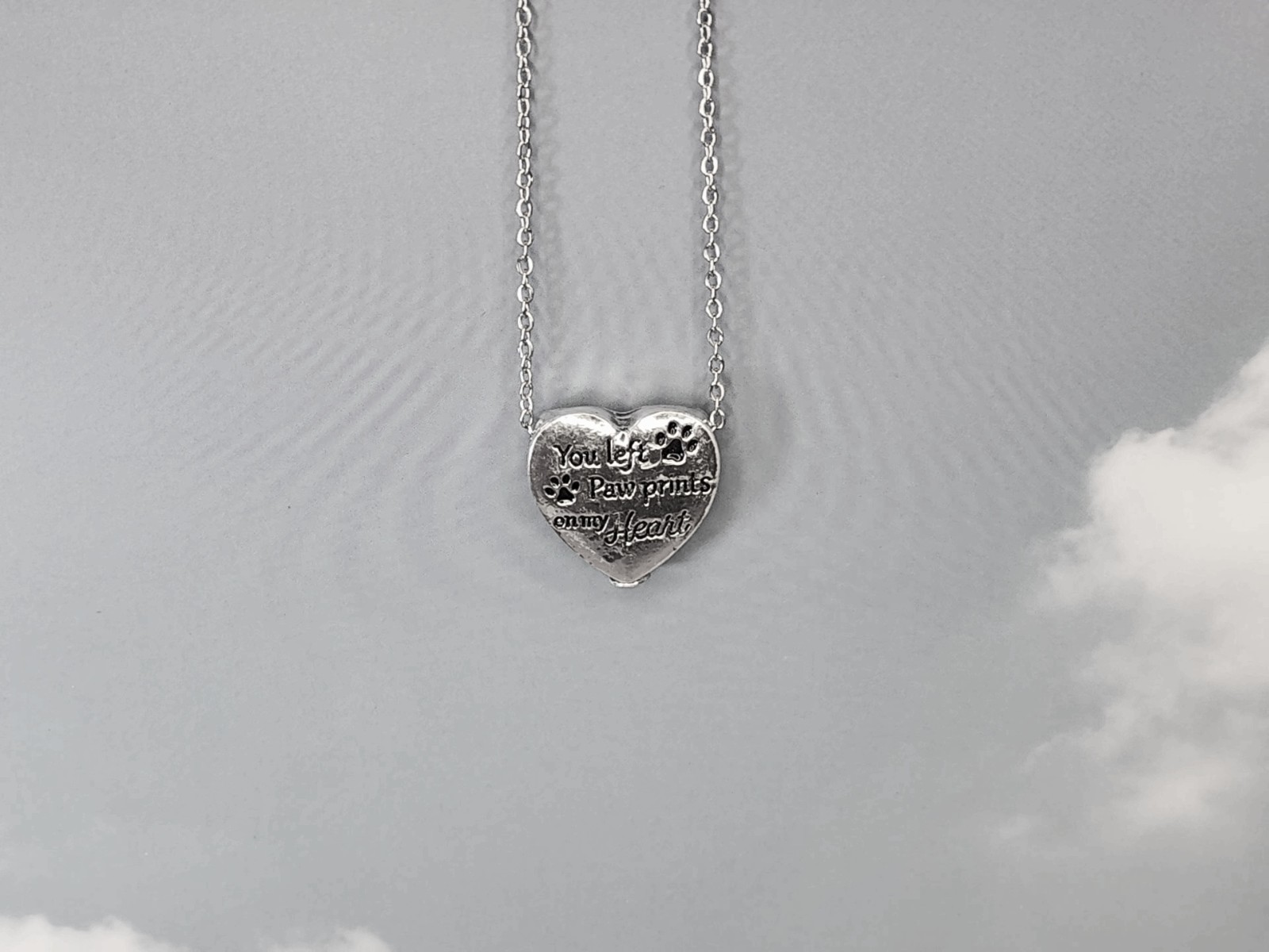 You Left Paw Prints On My Heart Pet Cremation Jewelry