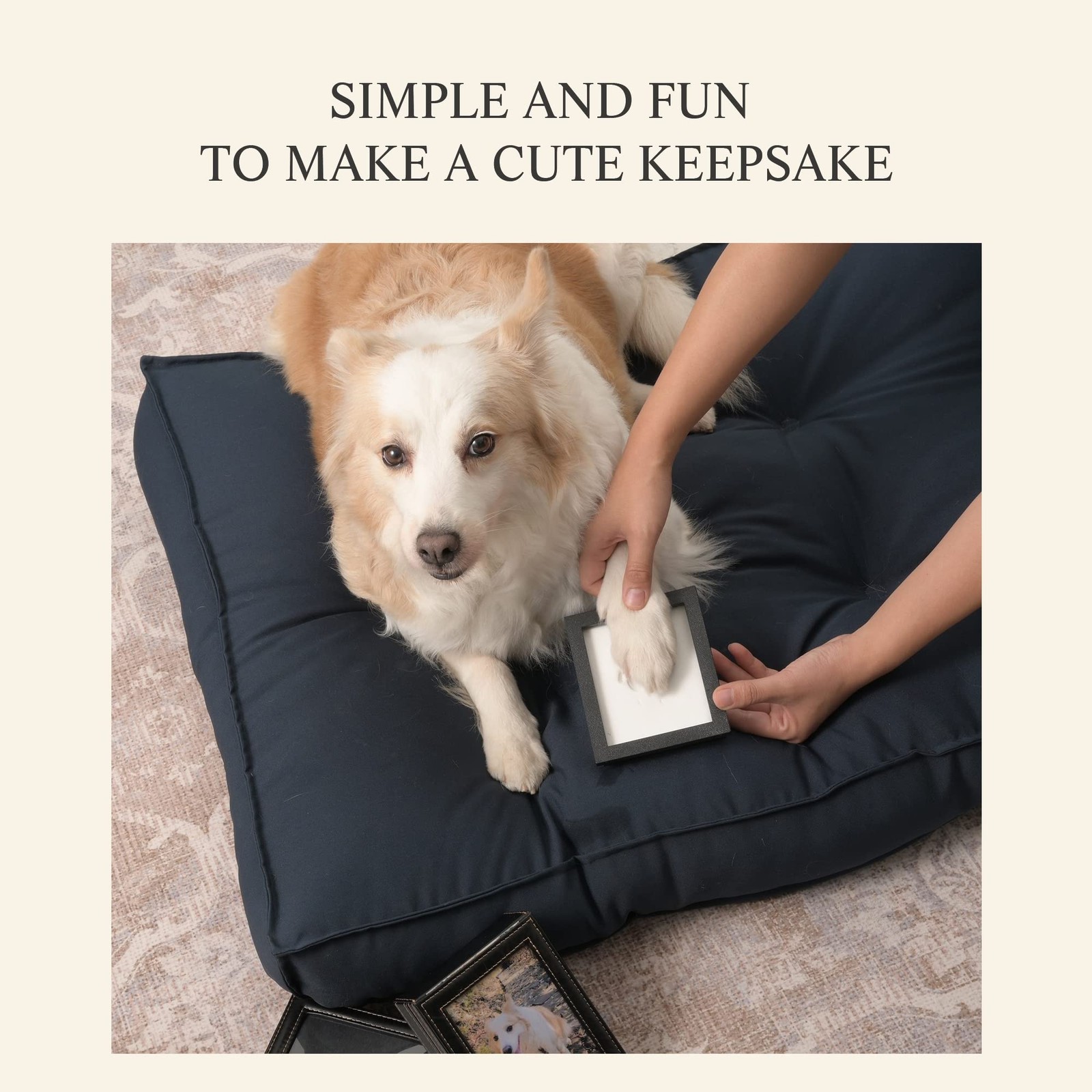 PCS Paw Print Kit Keep Your Pet’s Memory with Paw Print Mold Available for …