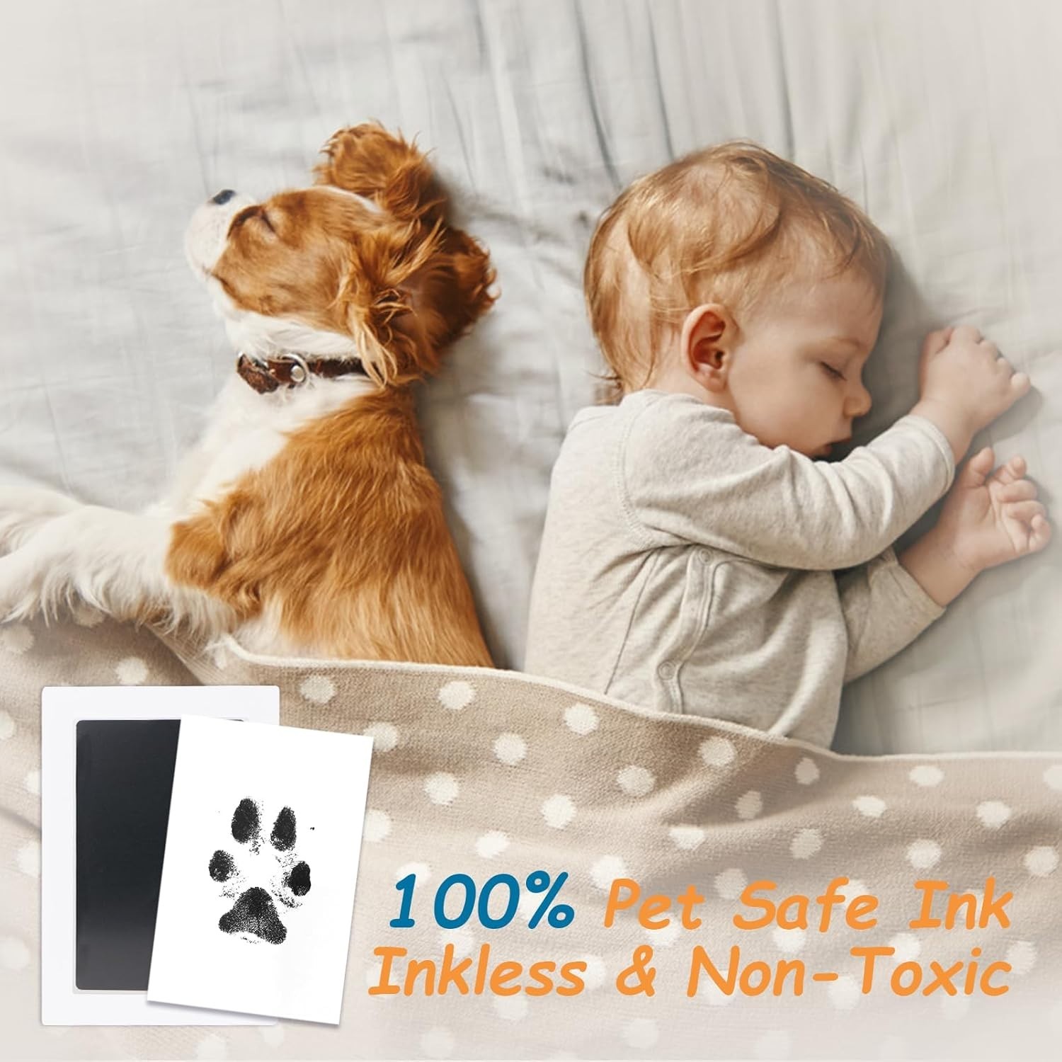 Pet Paw Print Kit Inkless | Dog & Cat Impression Pad