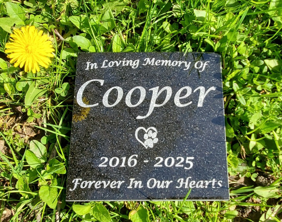 Pet Memorial Granite Stone Engraved Grave Marker Headstone Garden Plaque d5