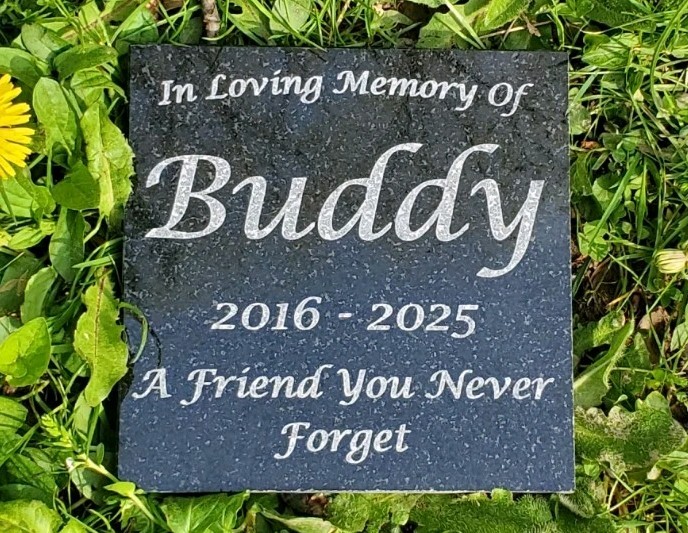 Pet Memorial Granite Stone Engraved Grave Marker Headstone Garden Plaque d6