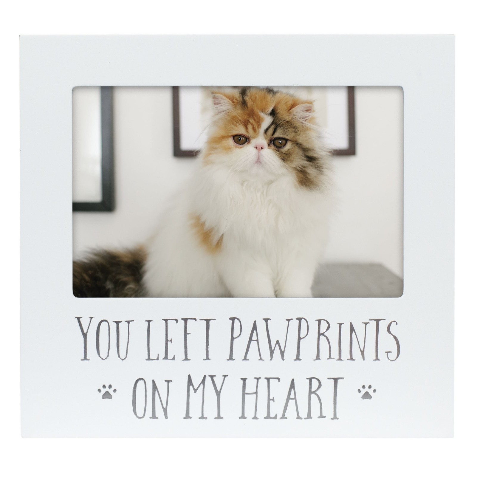 Pearhead “You Left Pawprints on My Heart” Pet Memorial Picture Frame