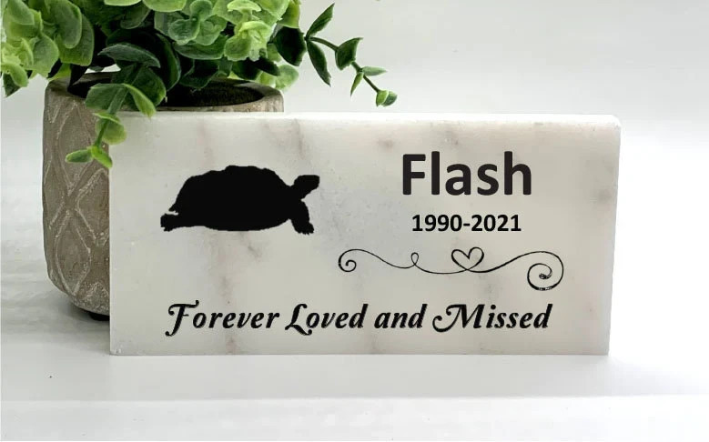 Turtle Memorial – Personalized Pet Memorial Stone – Turtle Loss sympathy Gift