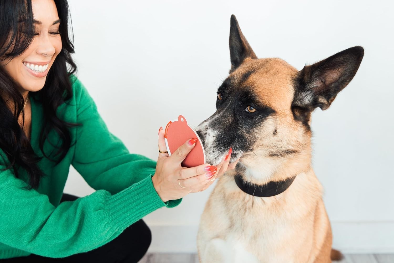 Mess-Free Pet Paw Impression Kit with Non-Toxic Ink Pad for Christmas