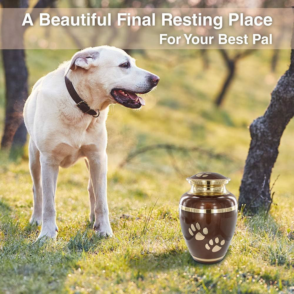 Trupoint Memorials Small Pet Urn for Dogs and Cats Ashes – A Loving Resting Pla