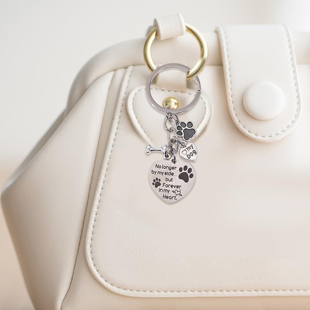 1 Box Dog Memorial Keychain Pet Memorial Gifts Silver Stainless Steel No Longer