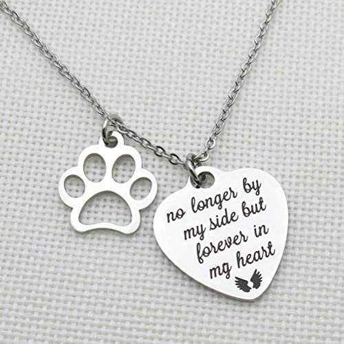 Pet Memorial Gift No Longer by My Side But Forever in My Heart Engraved Necklace