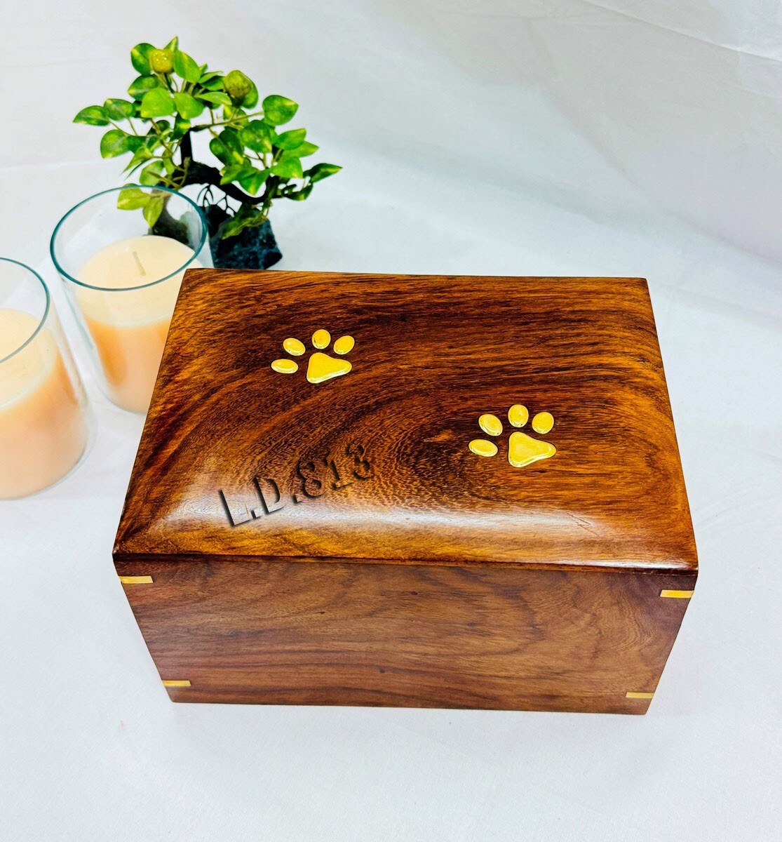 Natural Rosewood Urn for Pet Ashes, Dogs or Cats, with 2 Brass footprints,