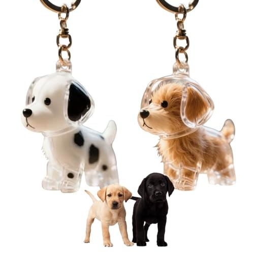 Pet Memorial Keychain Refillable Hair Locket Charm for Grieving or Celebrating