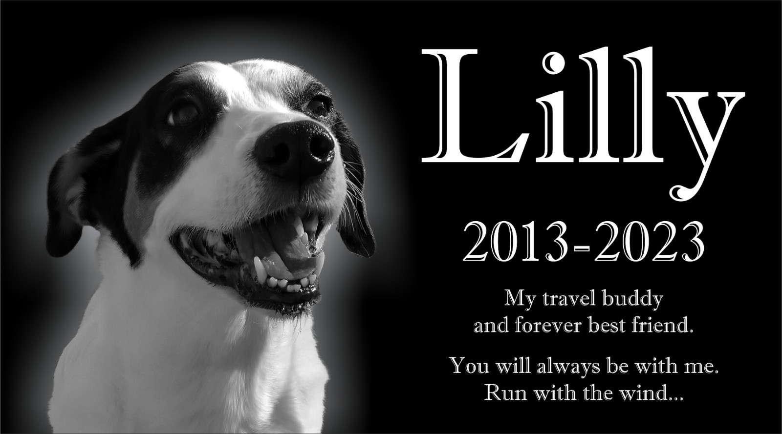 Personalized Pet Stone Memorial Grave Marker Granite Plaque Animal Human dog