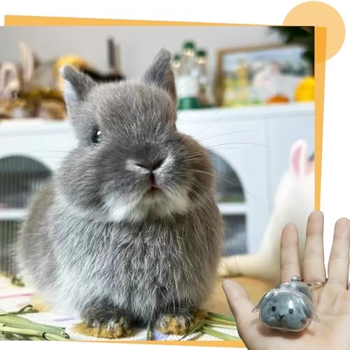 Rabbit Fur Keepsake Keychain Pet Memorial Bunny Lover Gift