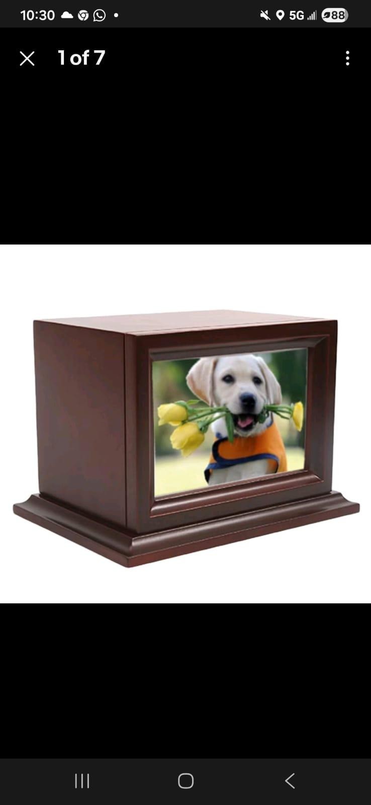 Wooden Pet Photo Urn—Memorial Keepsake Dogs Cats Small Pets