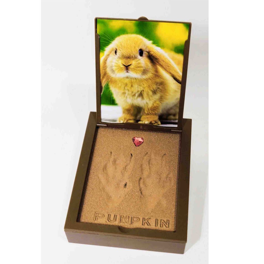 PawPals Paw Print Keepsake Classic Mold Kit
