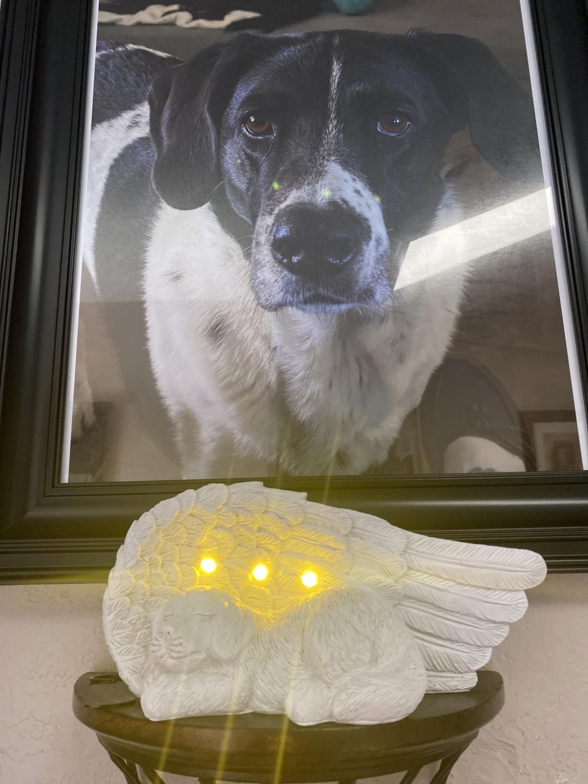 Weather-Resistant Angel Garden Solar Light – Pet Memorial Stone for Remembrance