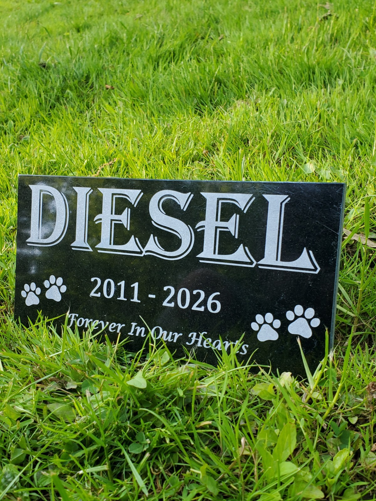 Pet Memorial Grave Stone Marker | Dog Cat Headstone Tombstone Pet Loss Gift t24