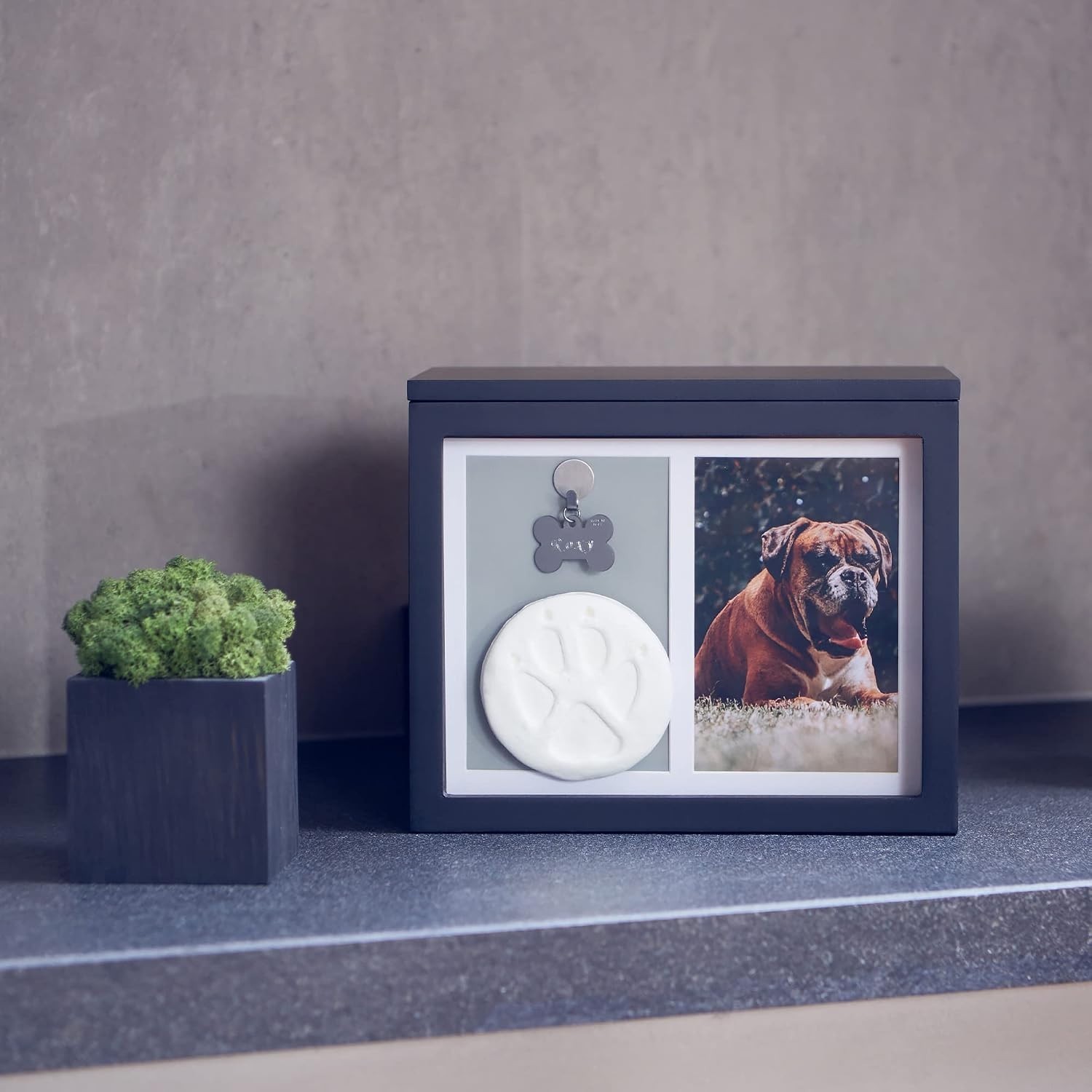 Pet Urns for Dogs – Dog Urns for Ashes, Suitable for All Pets – Includes Paw …