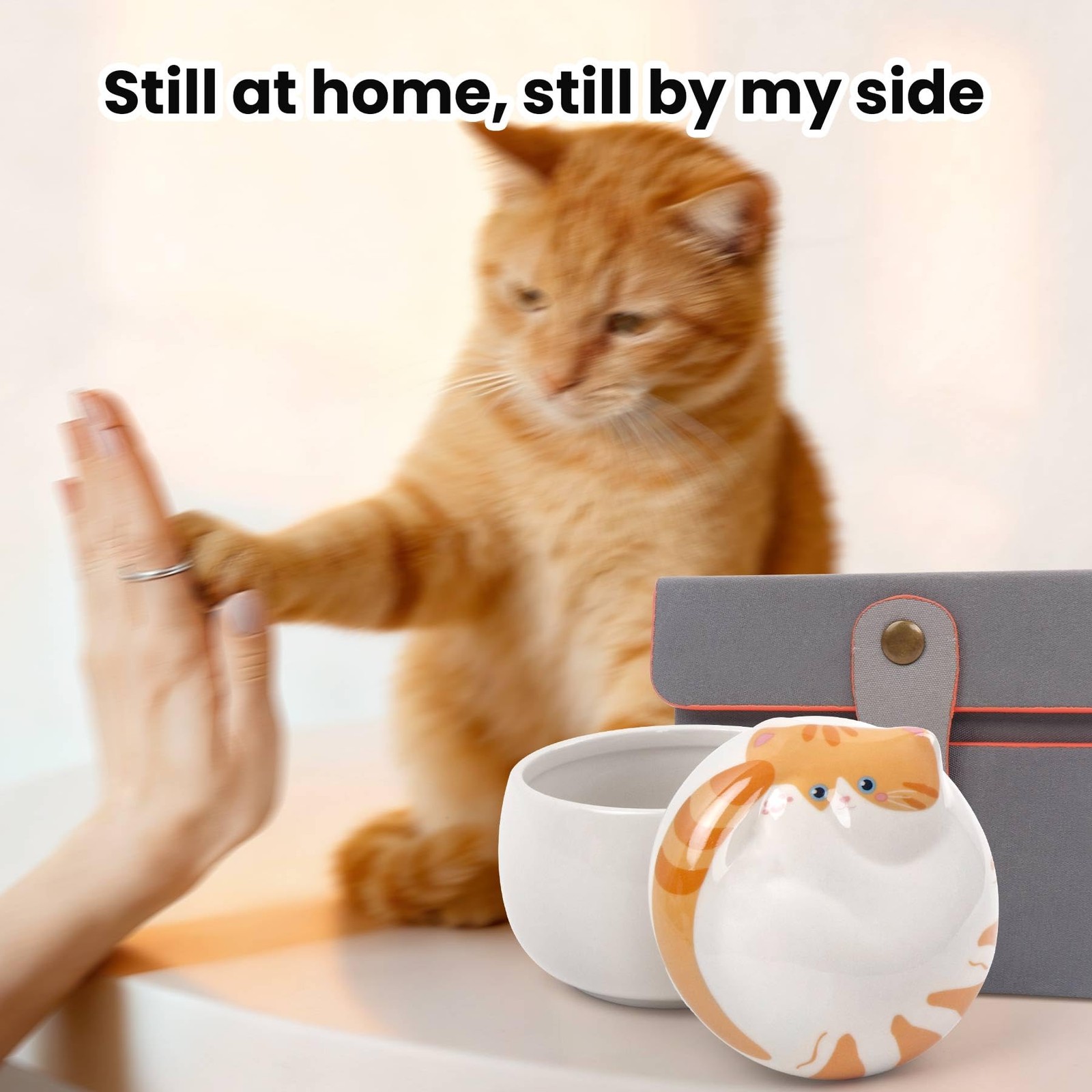 Ceramic Ginger Cat Urn, Memorial for Ashes, Pet Memorial Keepsake, Cat-Shaped…