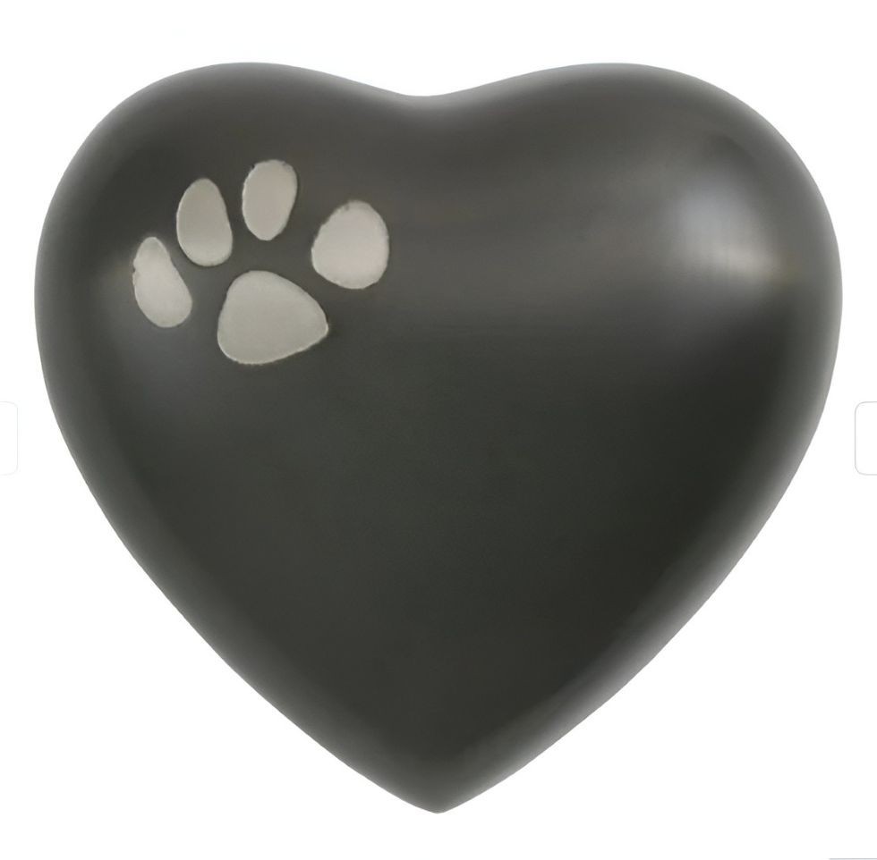 Heart Keepsake Pet Urn Paw Print Brass Memorial for Dog or Cat Ashes 3 Cu In