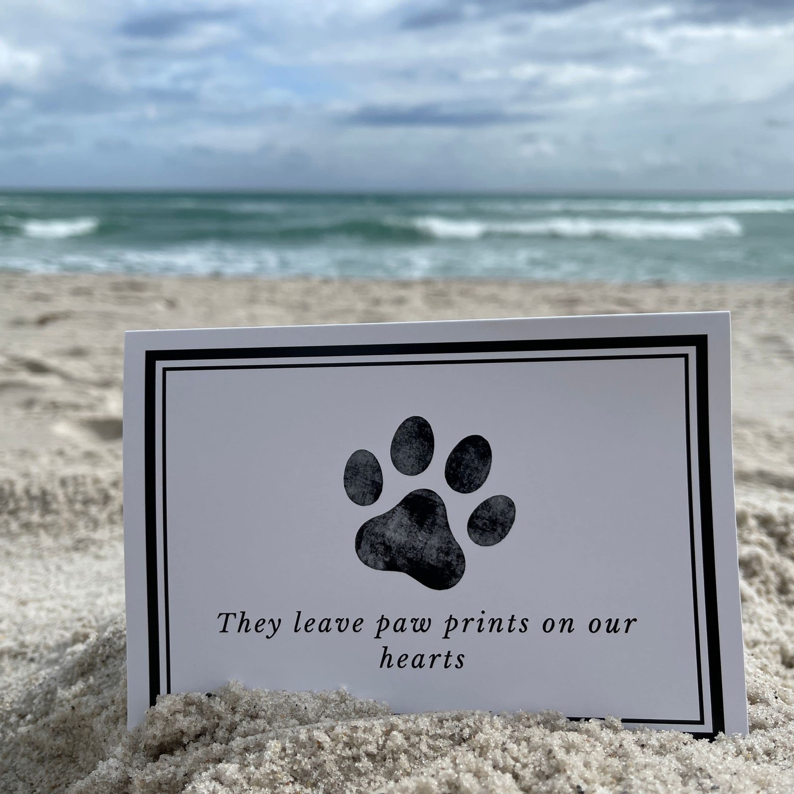 Pet Sympathy Cards for Dogs and Cats – 16 Paw Print Pet Sympathy Cards with E…
