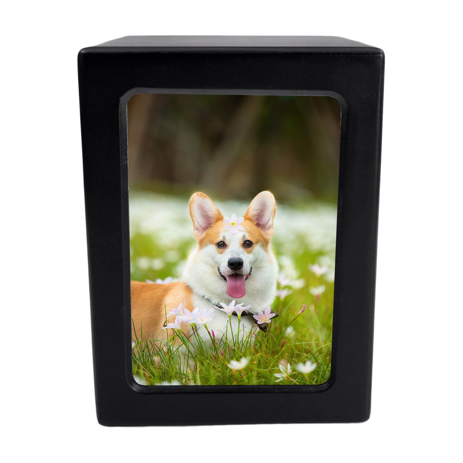 5*4.8in Black Wooden Funeral Cremation Urn with Photo Frame For Dogs And Cats