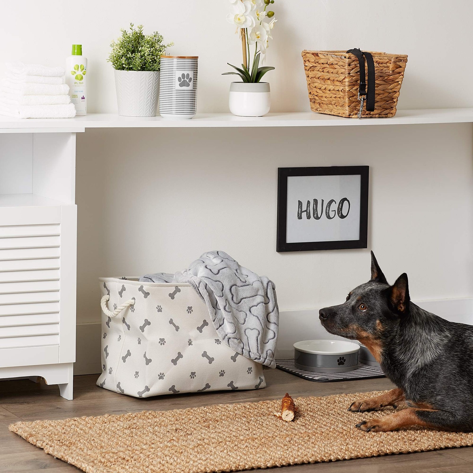 Bone Dry Pet Storage Collection Paw and Bone Print, Medium Rectangle, 16x10x1…