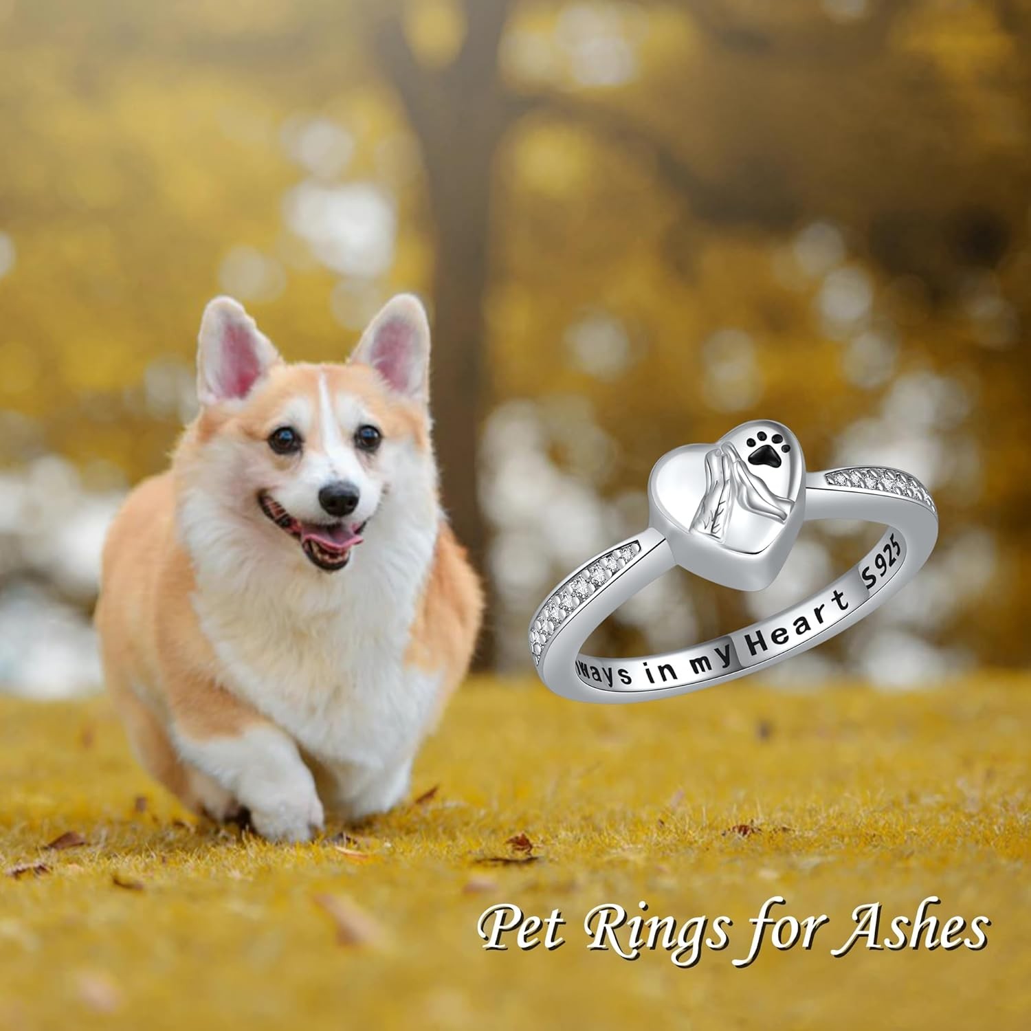 Pet Paw Print Urn Ring for Ashes 925 Sterling Silver Cremation Memorial Gifts S8