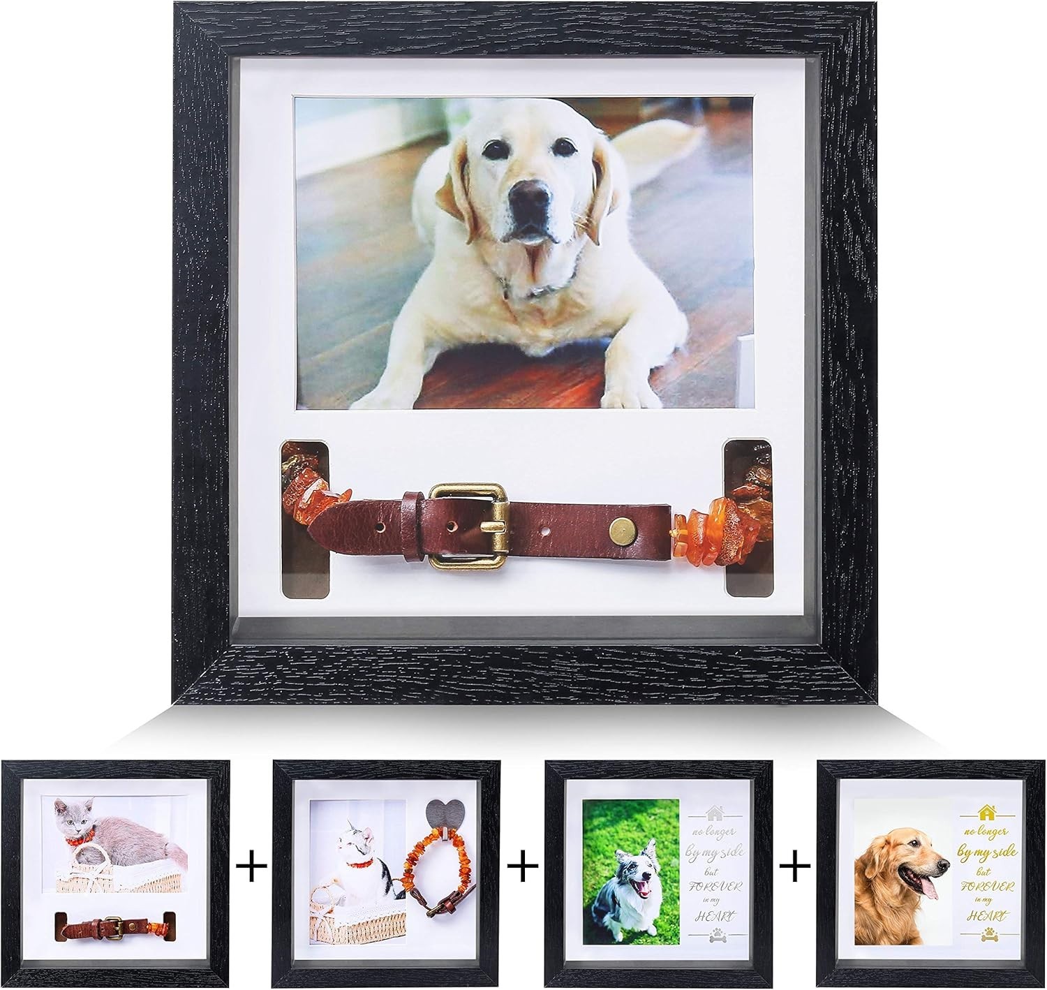 Durable Pet Collar Keepsake Frame – 9-Inch Memorial Tribute for Beloved Pets