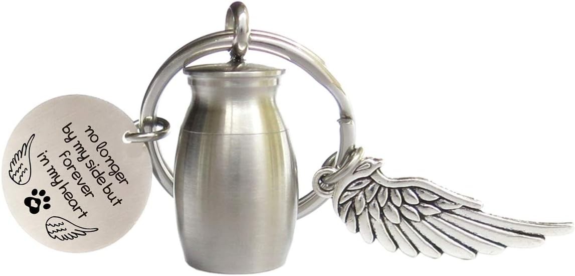 Small Cremation Urn for Pet Ashes Mini Memorial Holder Key Silver