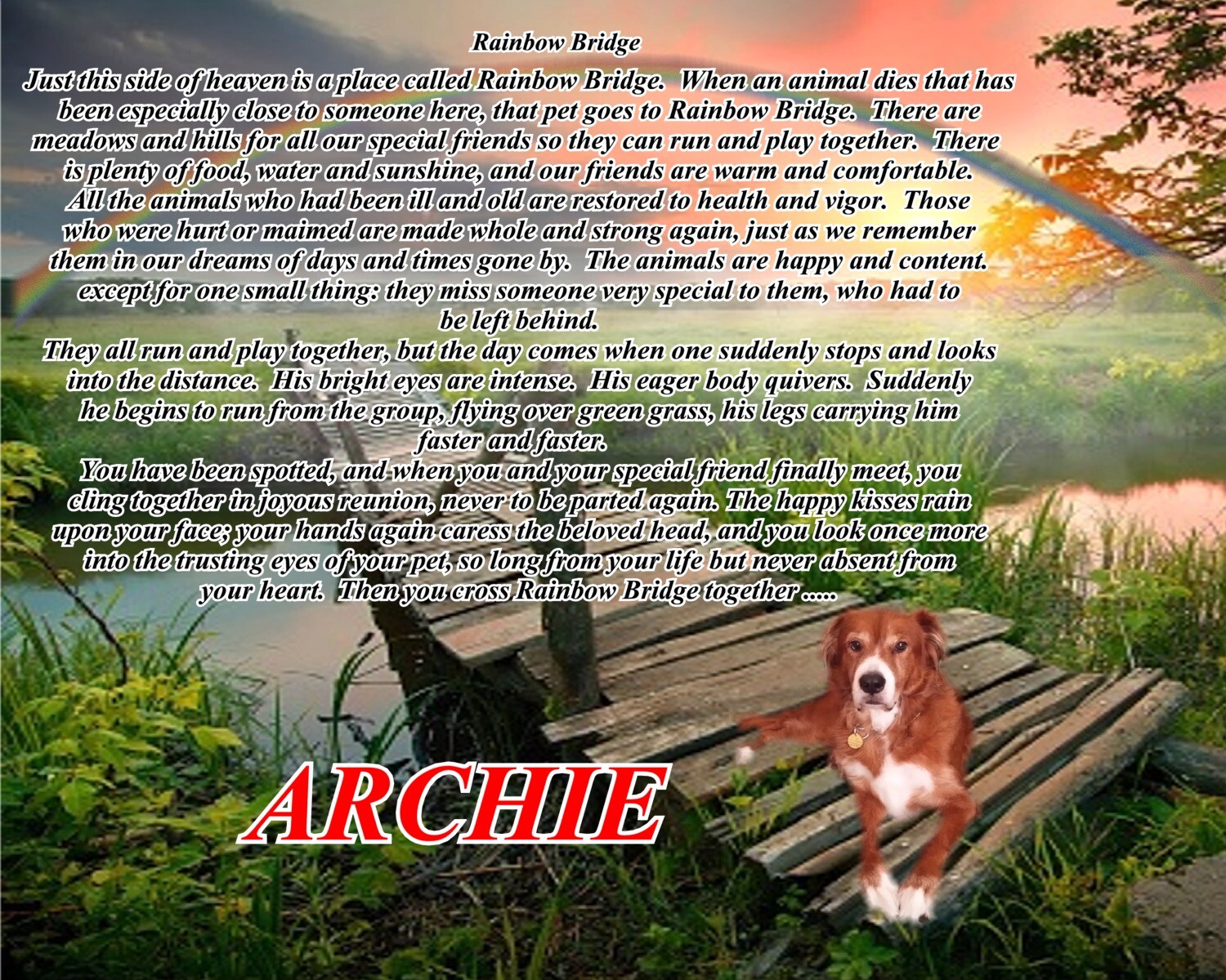 Rainbow Bridge Pet Memorial Photo