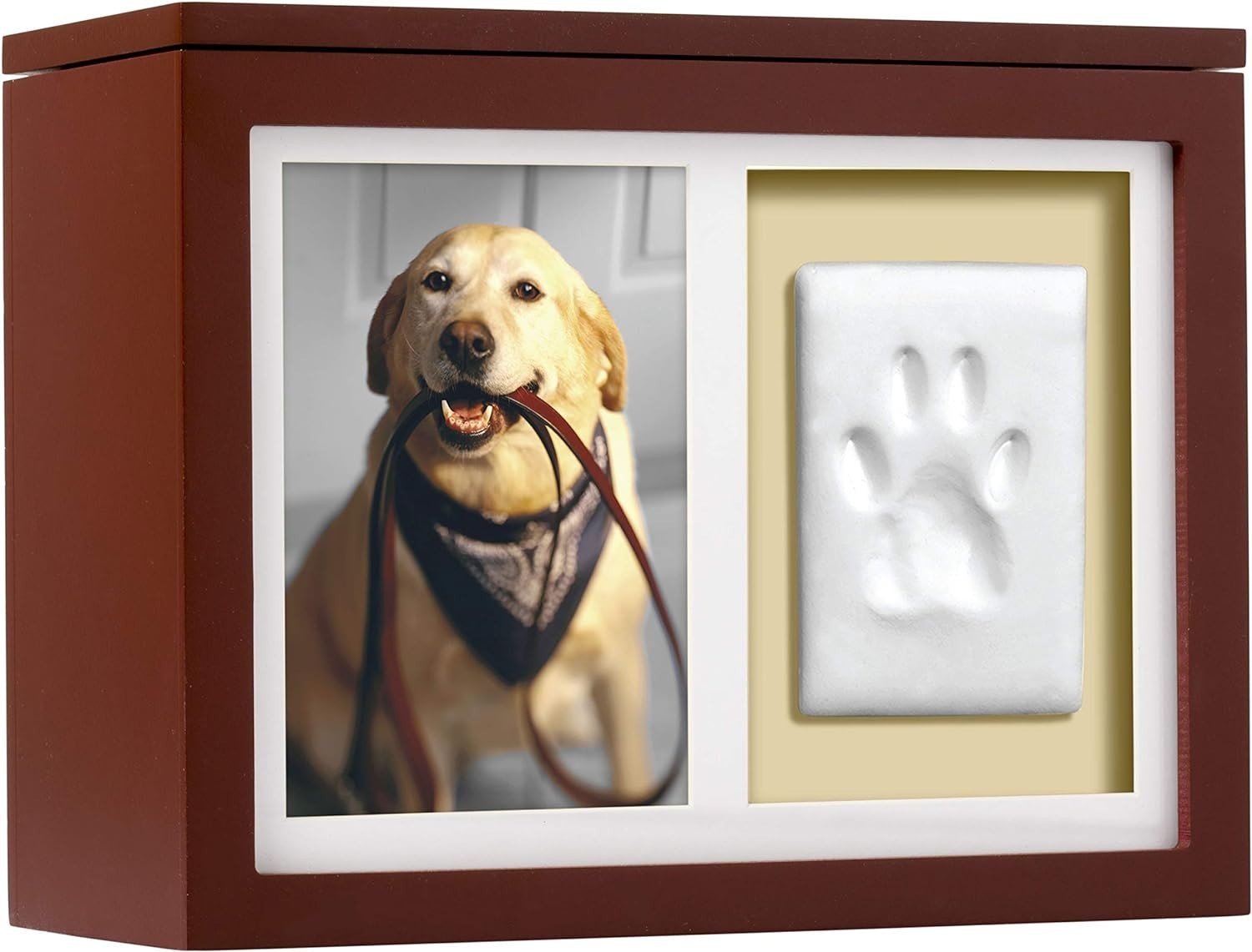 Personalized Paw Print Memory Box for Dogs and Cats – Includes Urn and Clay Kit