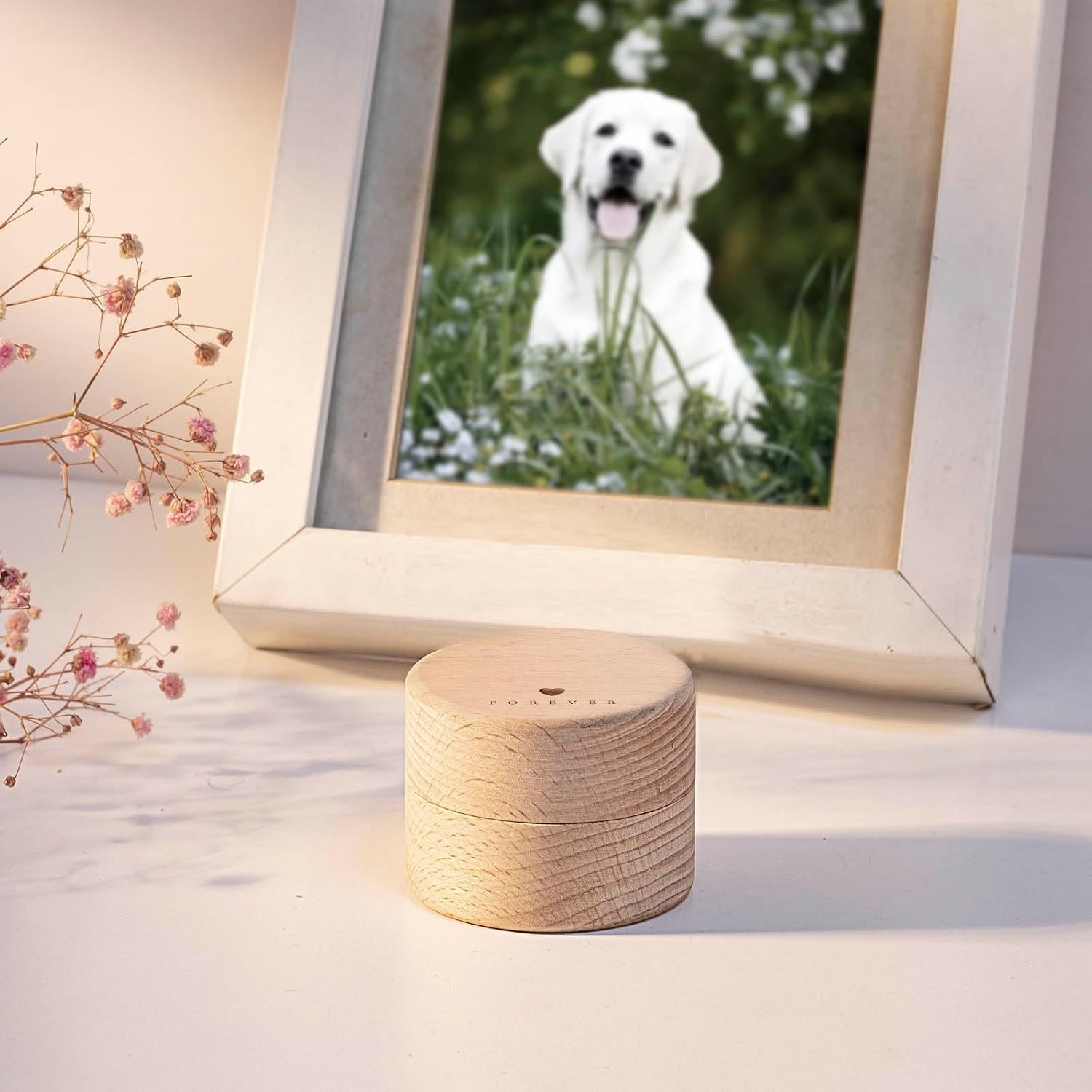 Heart-Shaped Pet Urn for Cat or Dog Ashes in Beautiful Beech Wood