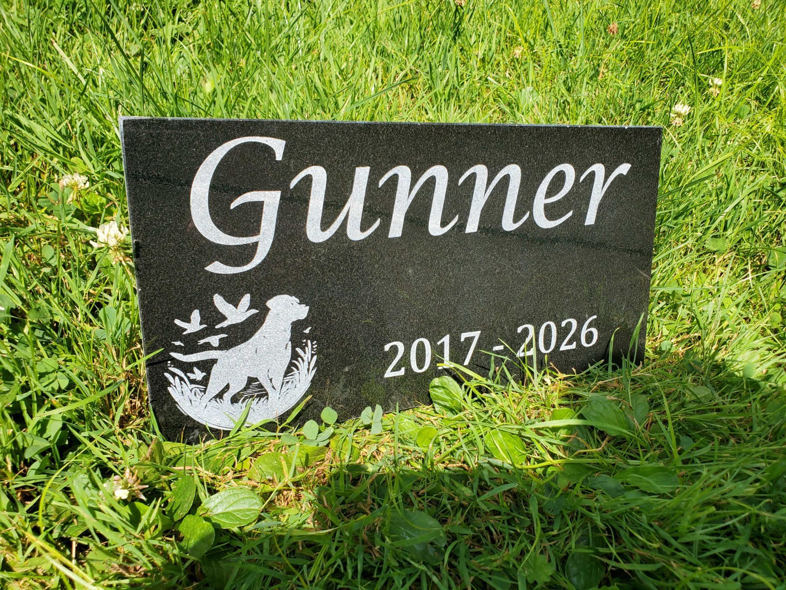 Hunting Dog Grave Marker Headstone Garden Pet Loss Memorial Burial Stone t25