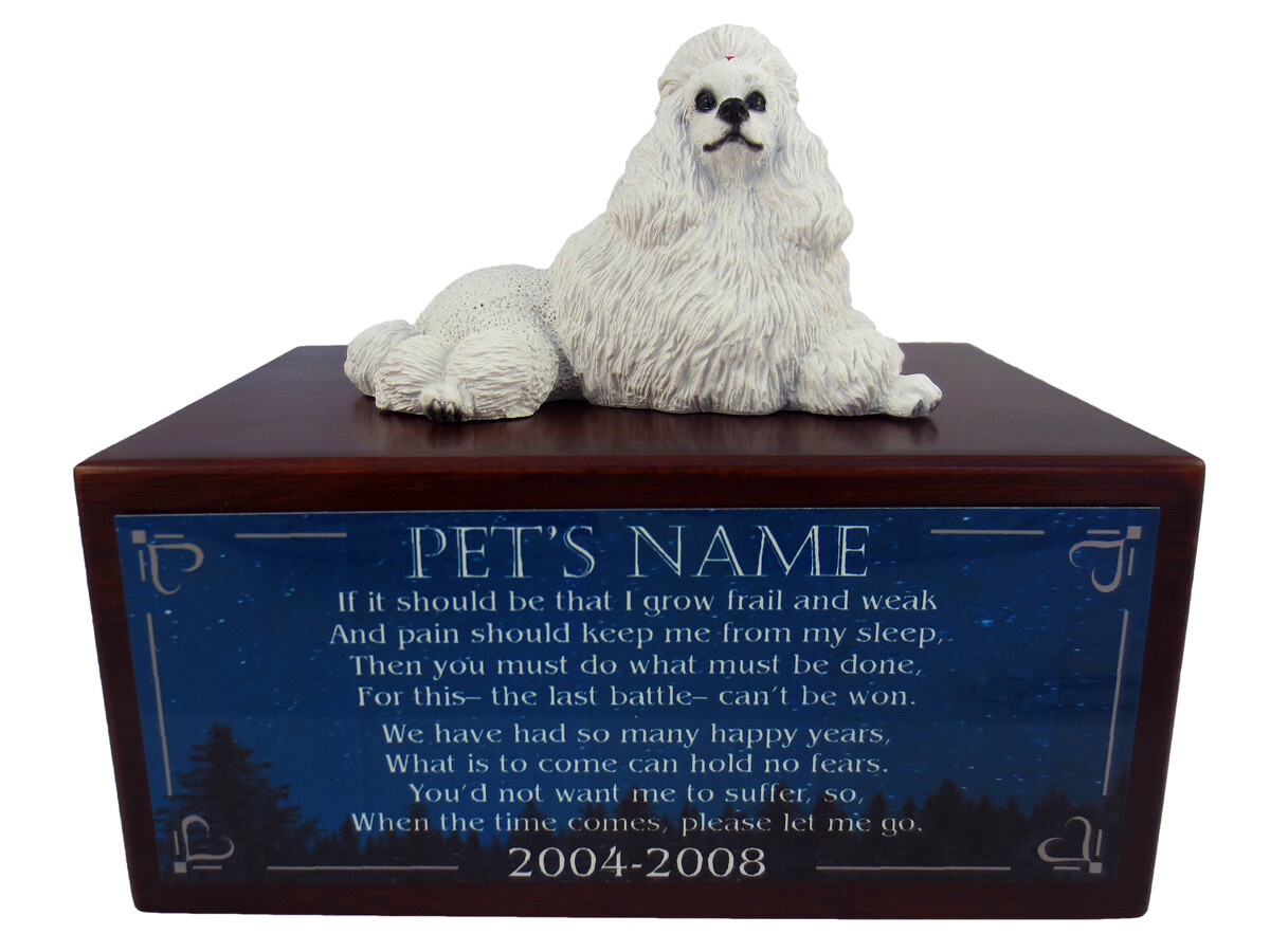 Conversation Concepts White Poodle