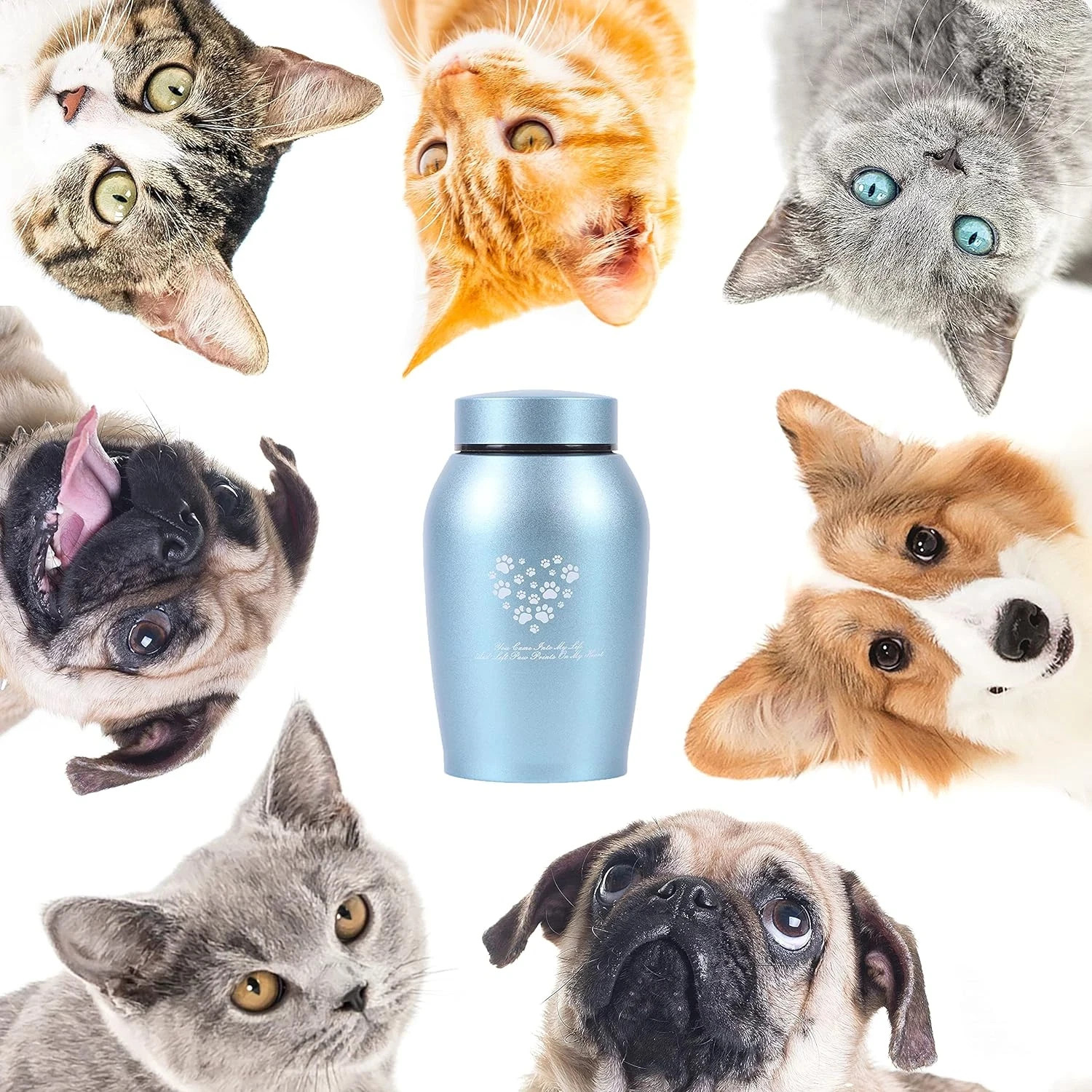 Stainlee Steel Pet Urns,Premium Urns for Dog and Cat Ashes,Paws Engraved Dog Urn