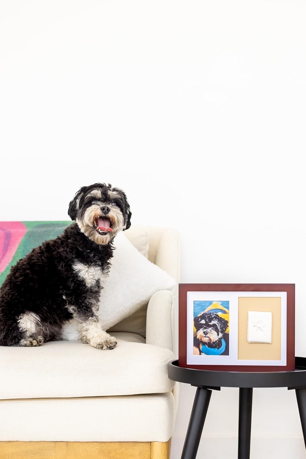 Non-Toxic Paw Print Keepsake Kit – Wall-Mounted Design for Lasting Pet Memories
