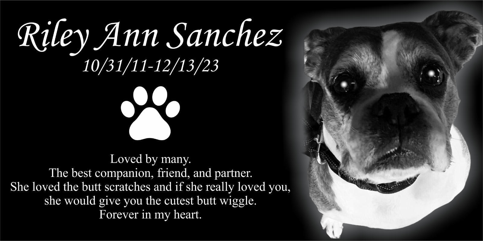 Personalized Pet Stone Memorial Grave Marker Granite Plaque Animal Human dog