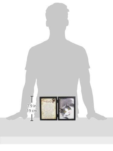 Pawprints Left By You Memorial 5×7 Frame for Cat with Pet Tag