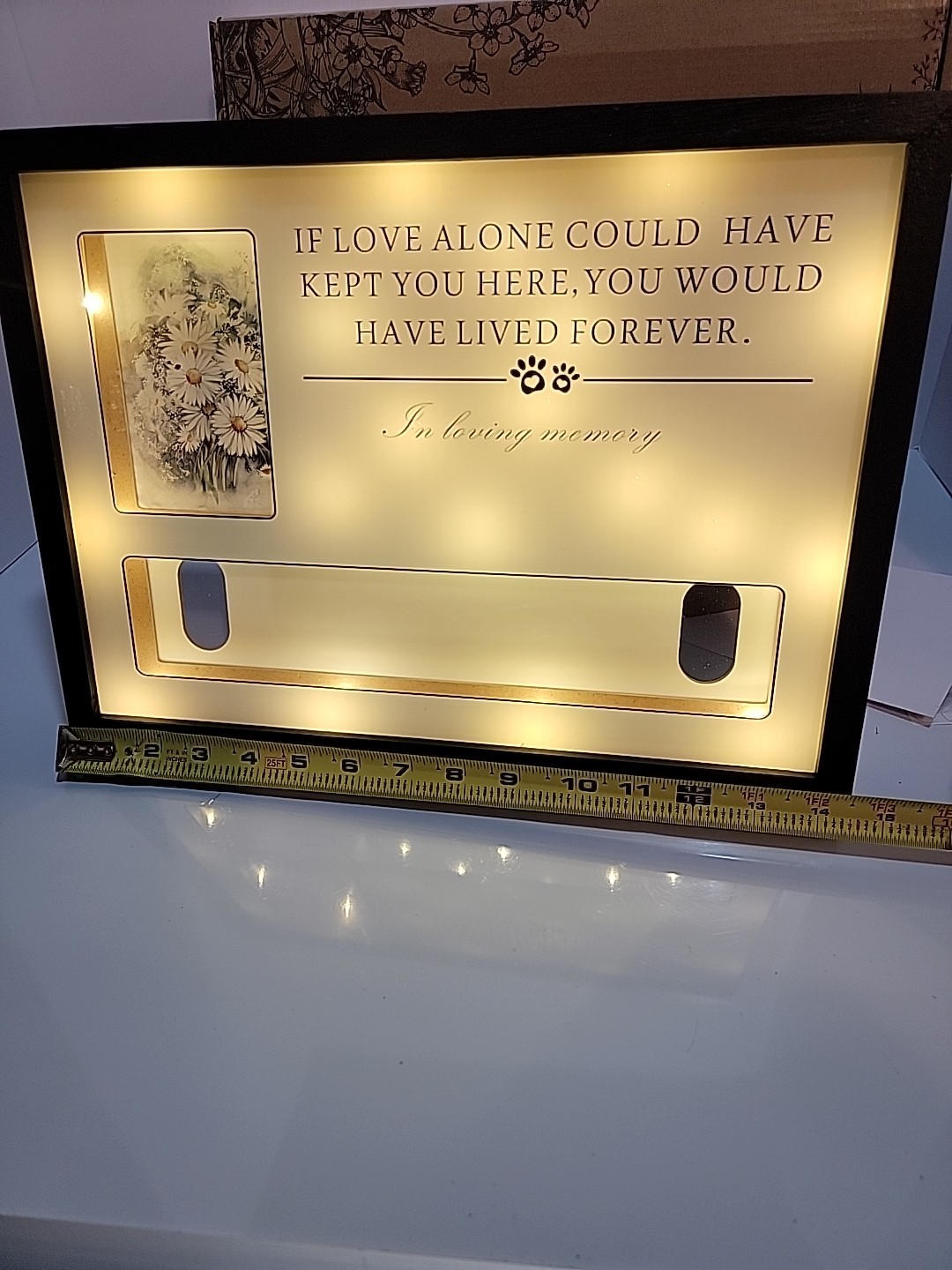Pet Memorial Collar And Picture Frame Light Up Shadowbox Black Frame New Cat Dog