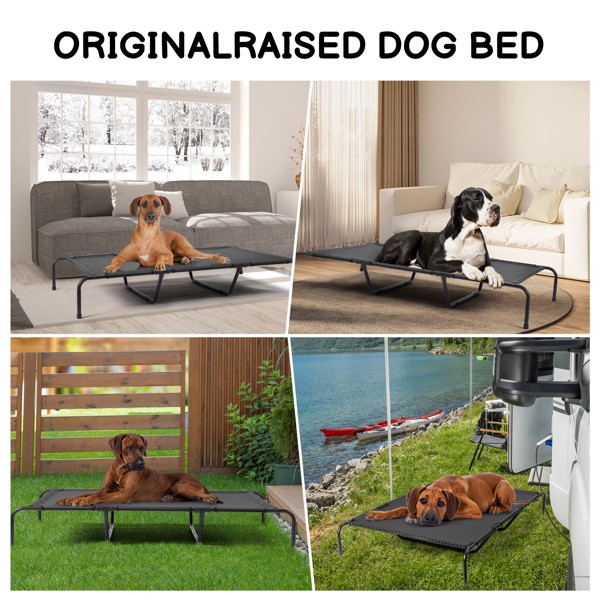 Pet Beds