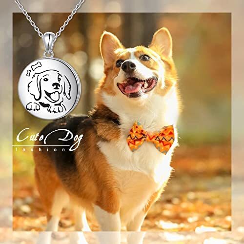 Dog Round Shape Locket That Holds Pictures 925 Sterling Silver Necklace Pendant