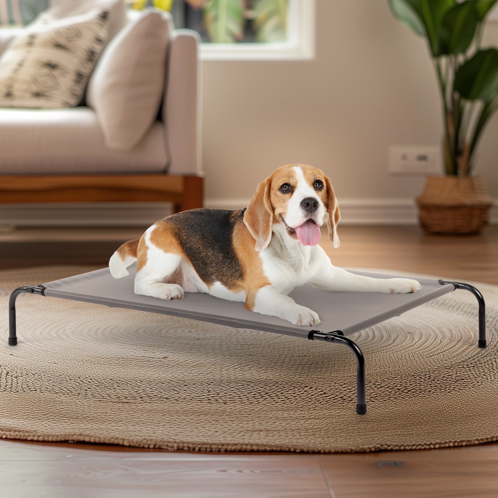 Pet Beds