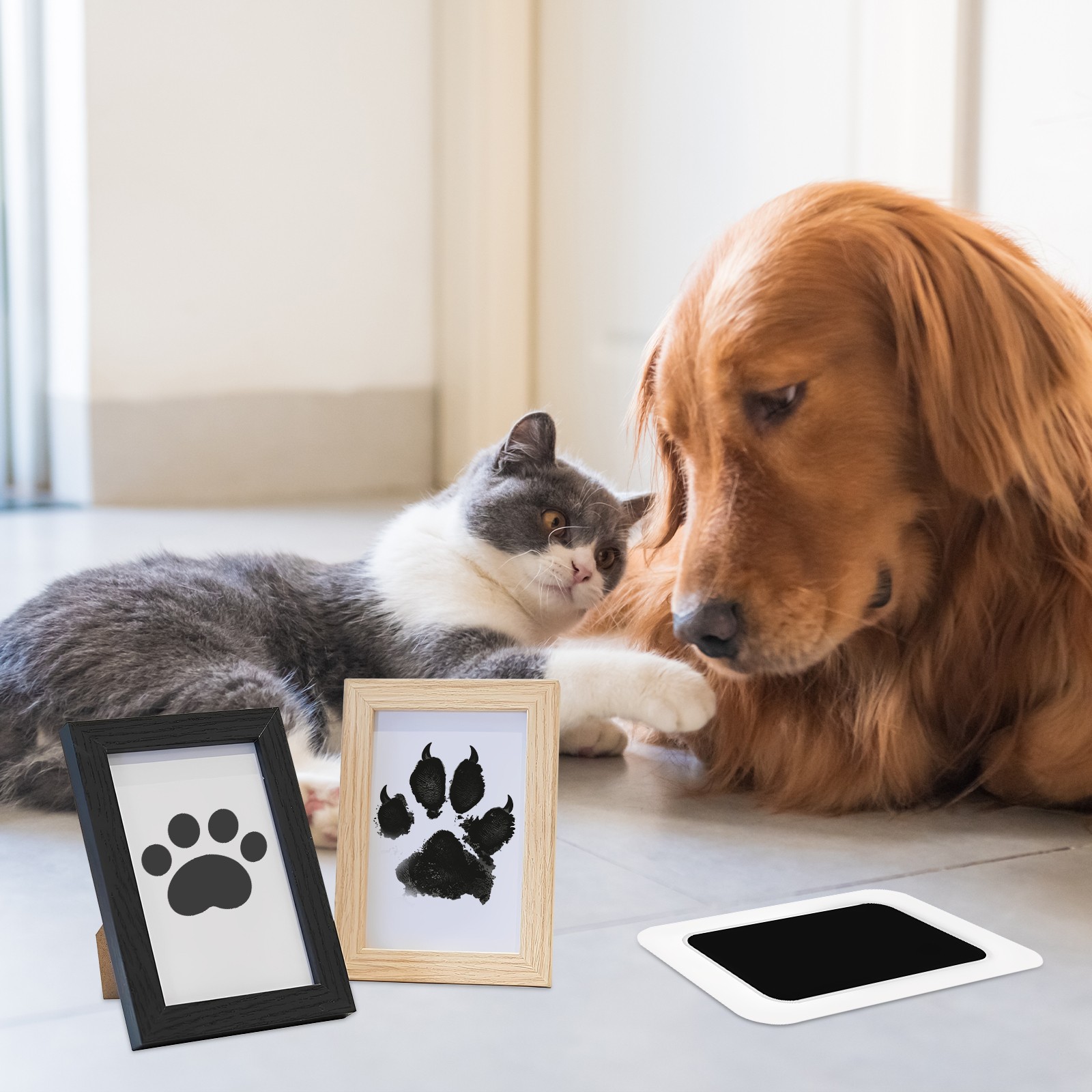 Non-Toxic Ink-Free Paw Print Kit W/ Pine Wood Frame for Cats, Dogs, or Babies