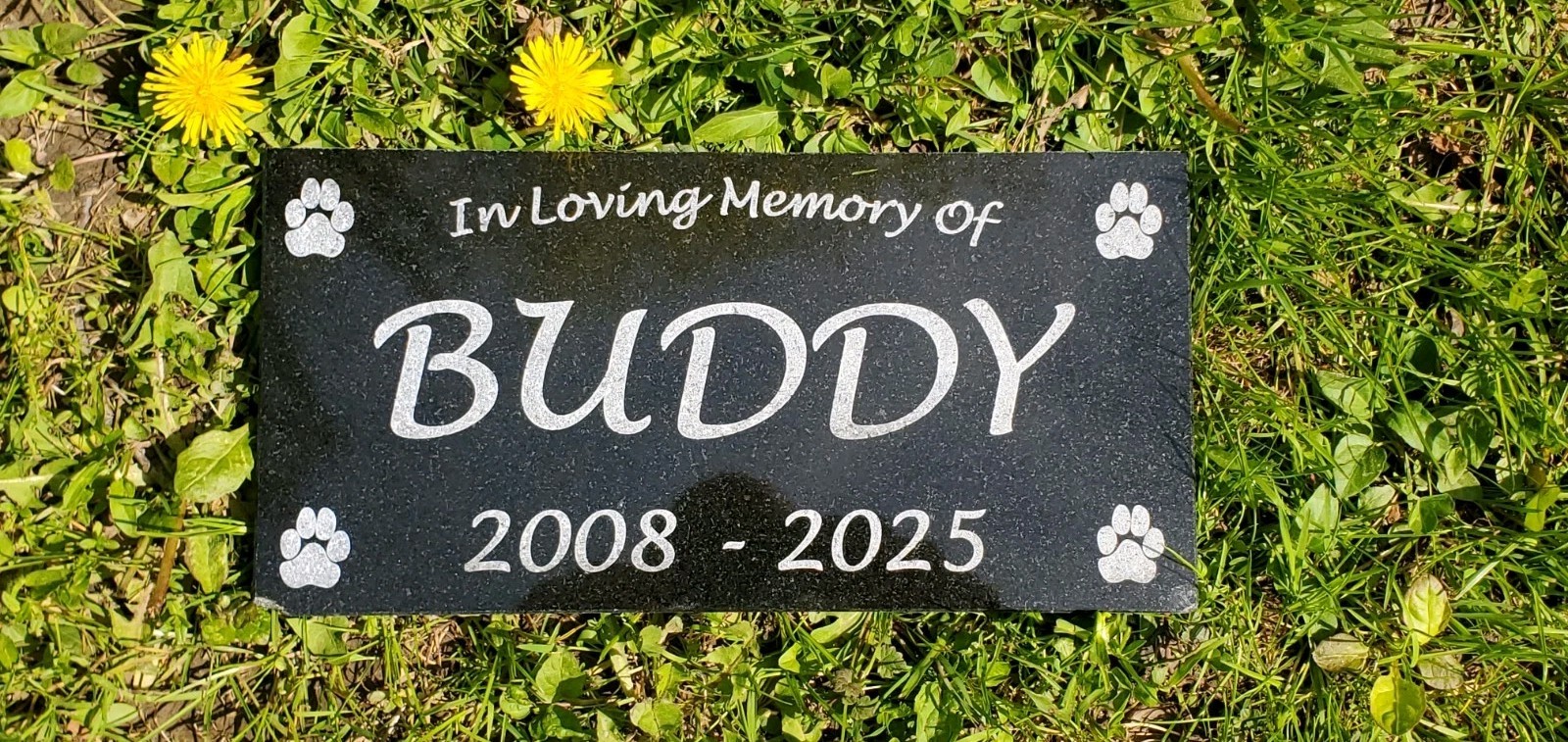 Pet Memorial Grave Marker Headstone Garden Plaque Dog Granite Cemetary Stone t12