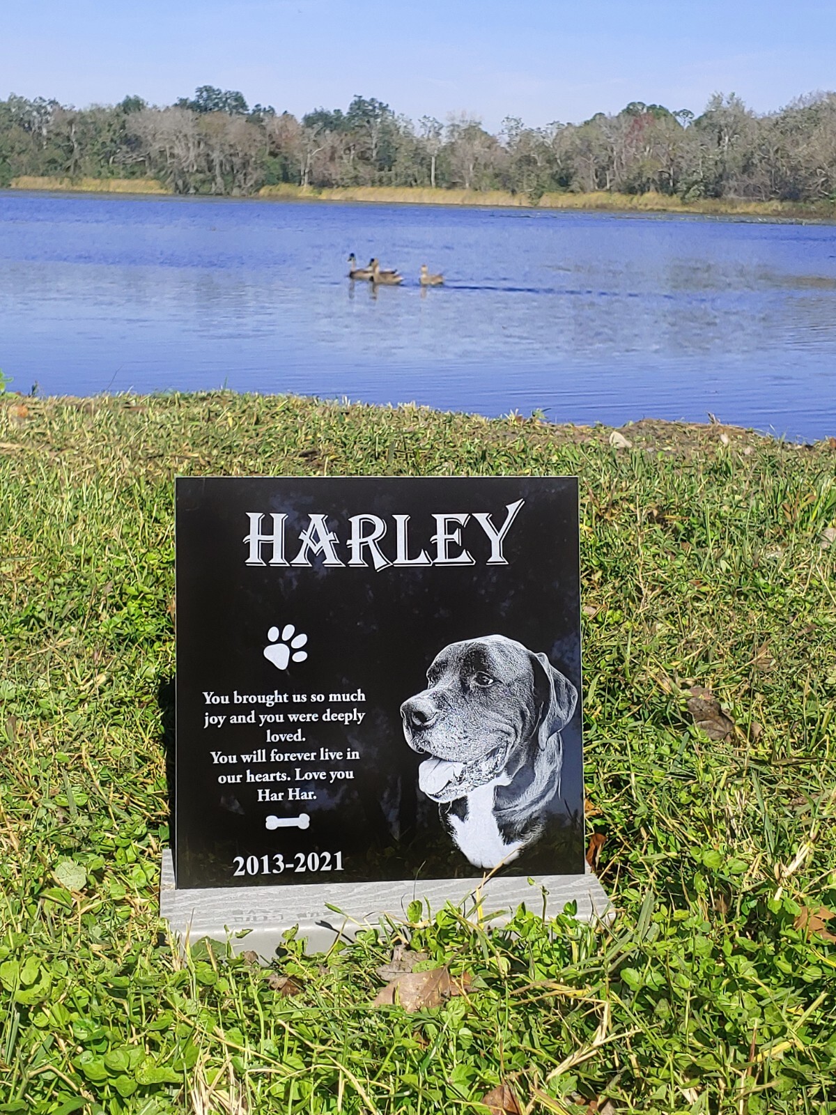 8×6 Tombstone Pet Memorial Stone Gravestone Picture Grave Garden Dog Puppy