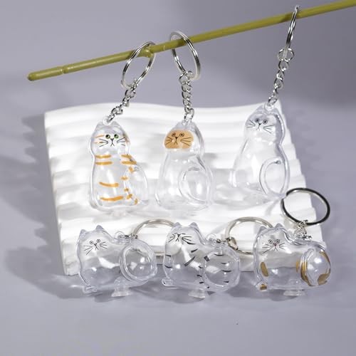 6 Pcs Cat Hair Keepsake Keychains – Pet Memorial Fur Holder