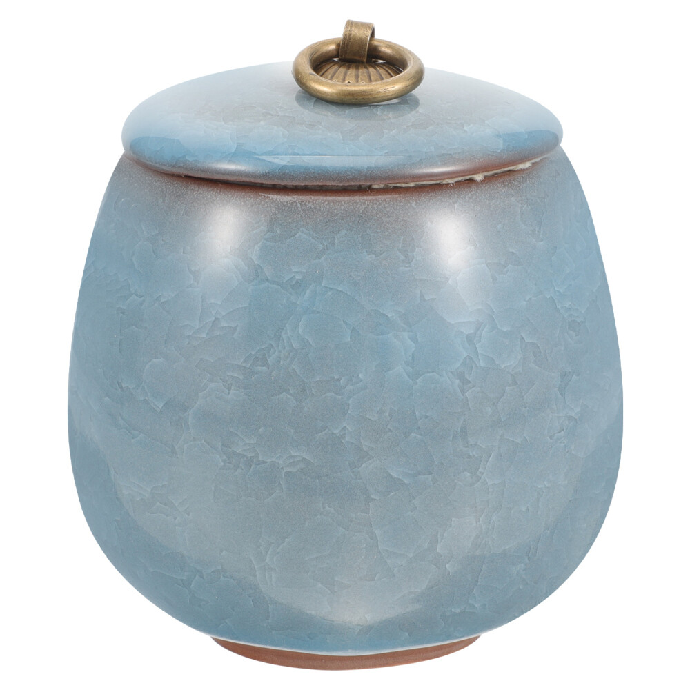 Pet Urns for Cats Blue Mini Keepsake Sympathy Ashes Storage