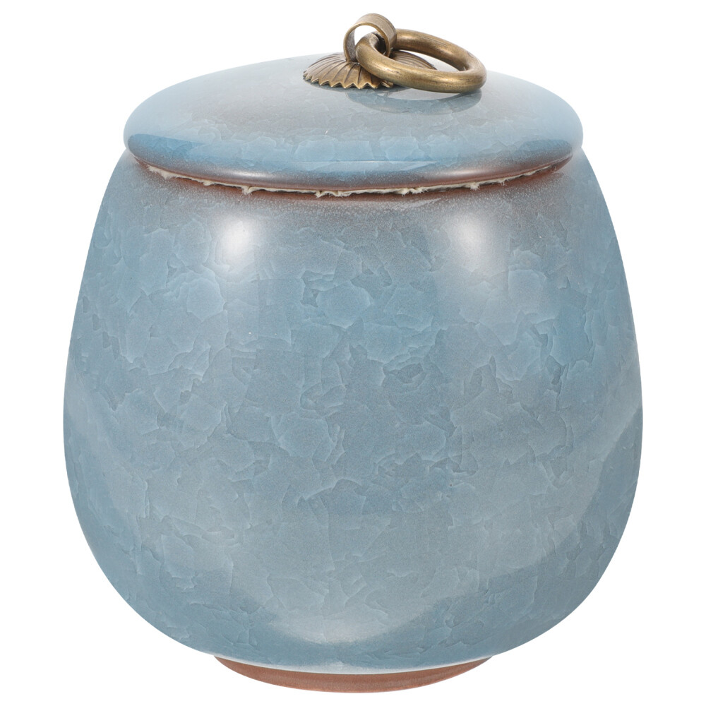 Pet Urns for Cats Blue Mini Keepsake Sympathy Ashes Storage