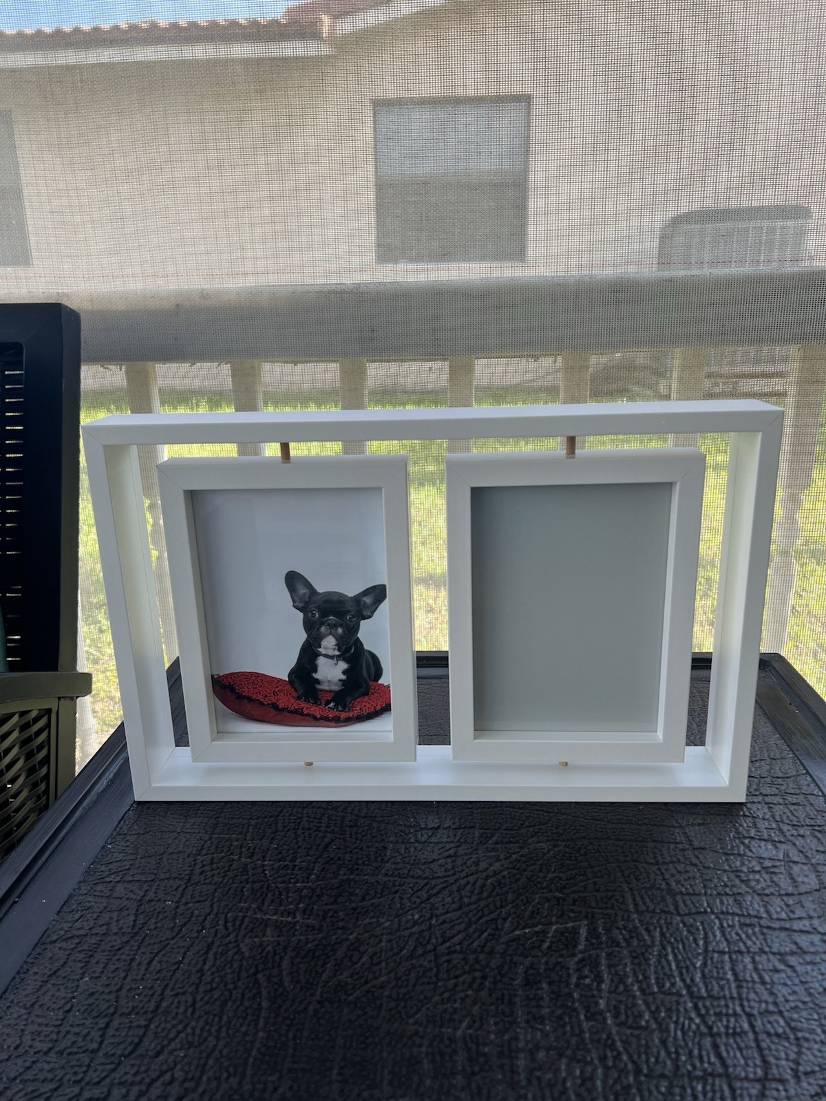 Pet Paw Print Keepsake Frame Kit 5×7 Photo Clay Impression Dog Cat Memorial NEW
