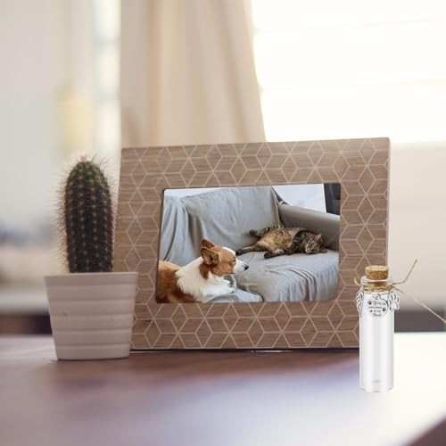 Pet Hair Memorial Glass Bottle – Vial for Ashes Or Dog – 1pcs Glass Bottle