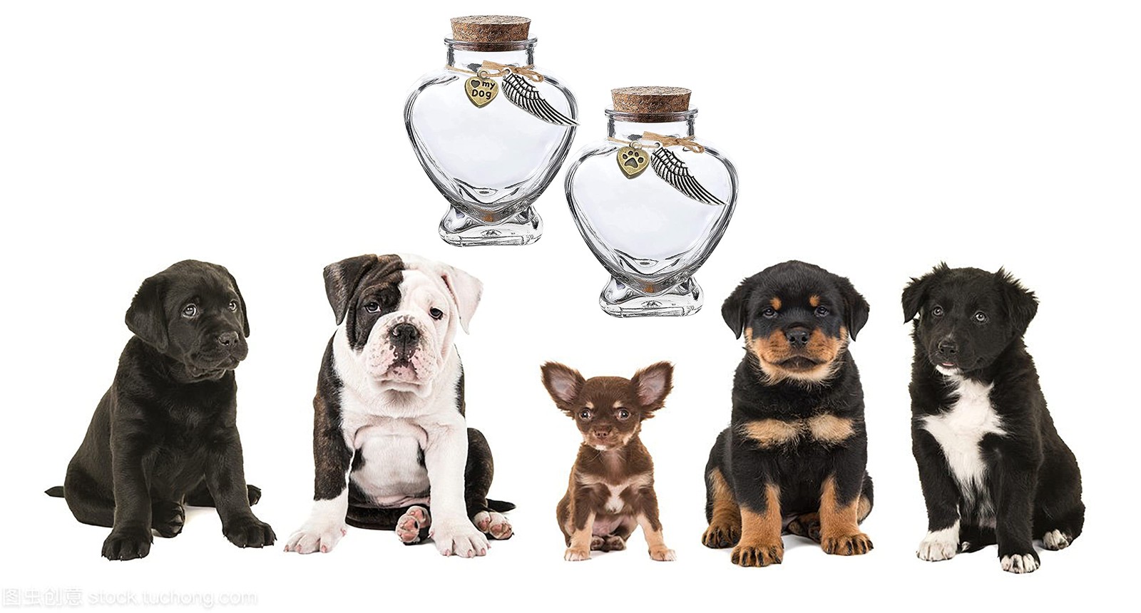Pet Memorial Bottle With Cork Top For Fur Keepsake Dog Cat Memorial Urn